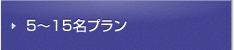 5～15名プラン