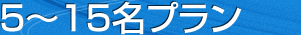 5～15名プラン